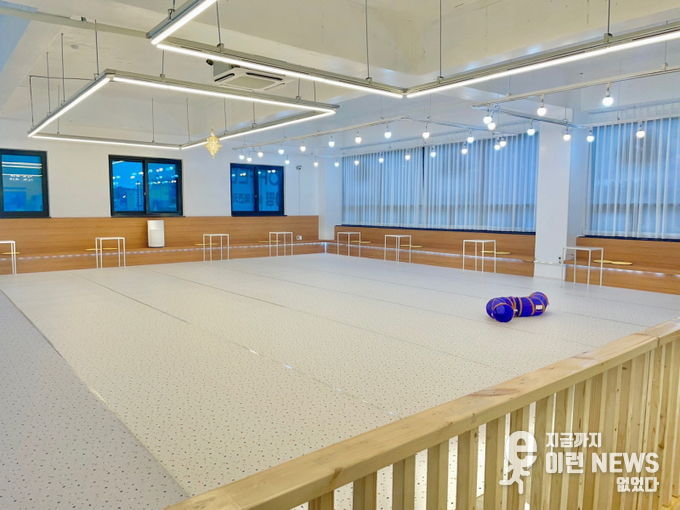 화성시 애견카페 80평 규모의 ‘콩앤커피’ 에 시공된 반려견 쓸개골 탈골 방지 메트.