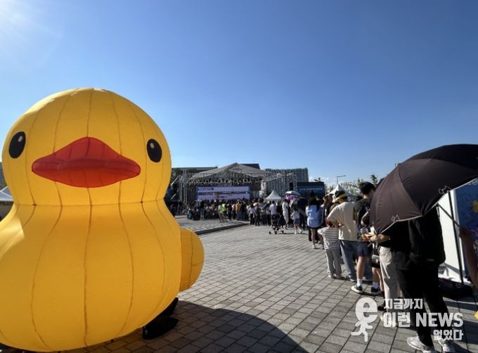 아라마린페스티벌