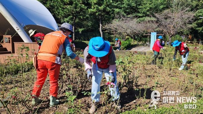 옥구공원, 정원사의 손길로 ‘활짝’ 피어나다