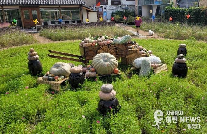 행궁동 105-8 일원 ‘북지터’에 조성된 ‘호박 포토존’