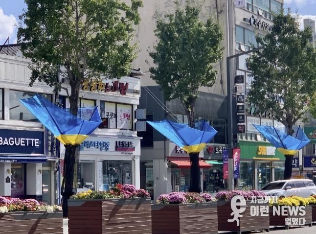 여주시, 은행나무 열매 악취 STOP!