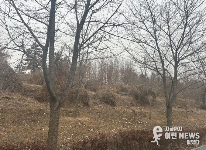 이천시, 2026년 도시숲리모델링사업 선정