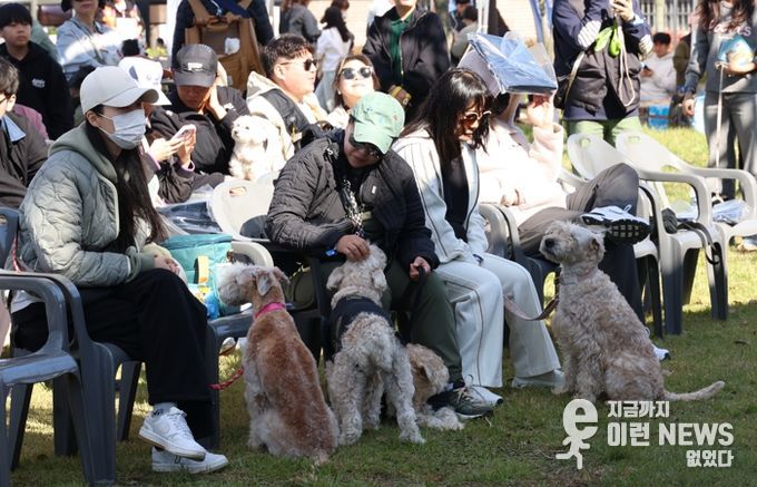 여러 종의 애견들이 주인들과 함께 휴식을 취하고 있다.