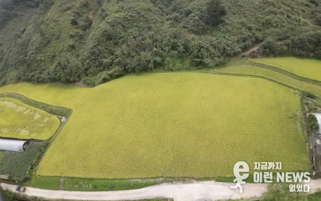 경기도 남양주시 조안면 시우리 222-3번지 일원에 있는 「구리시 관외 농지 활용 벼농사 체험장」 전경