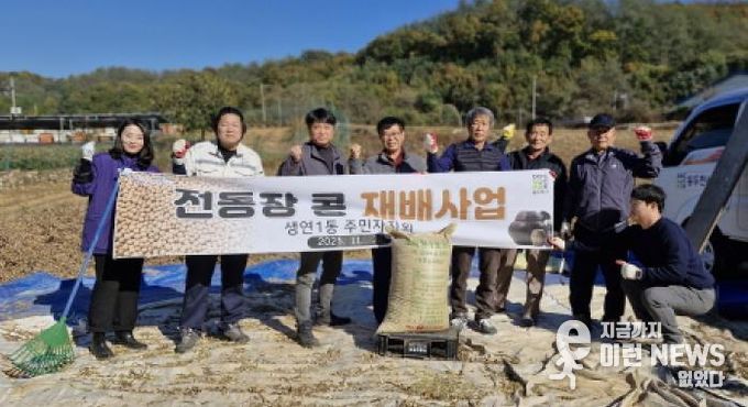 동두천시 생연1동 주민자치회, 직접 재배한 콩 수확 및 탈곡 전통 장(醬) 담그기 본격 준비