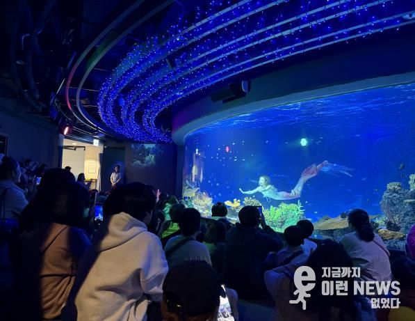 수원특례시 드림스타트 아동·가족이 아쿠아플라넷 관람을 하고 있다.