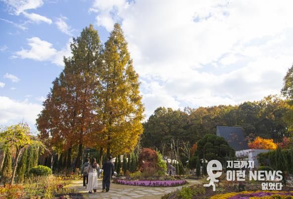 무릉도원수목원