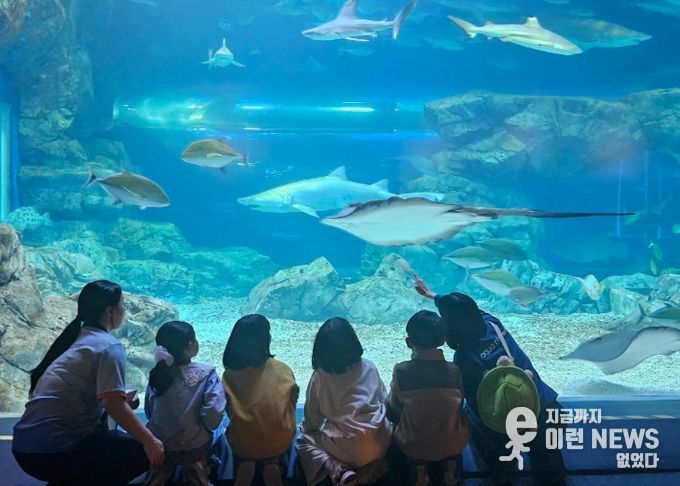 “하루에 바다를 다 체험할지니”수원 E:음 거점형 늘봄센터, 아쿠아플라넷 광교에서 해양생태 탐구 체험 운영