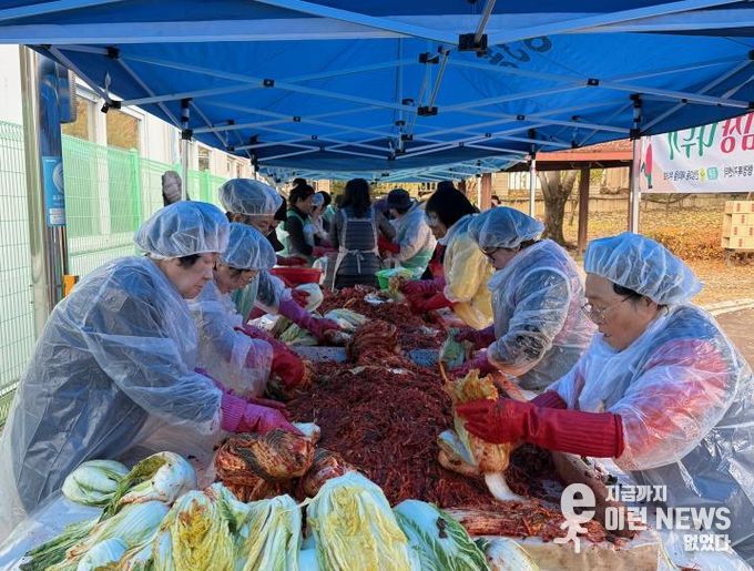 사랑 한 포기 정성 한가득, 안성시 안성3동 새마을회 김장 나눔 펼쳐..