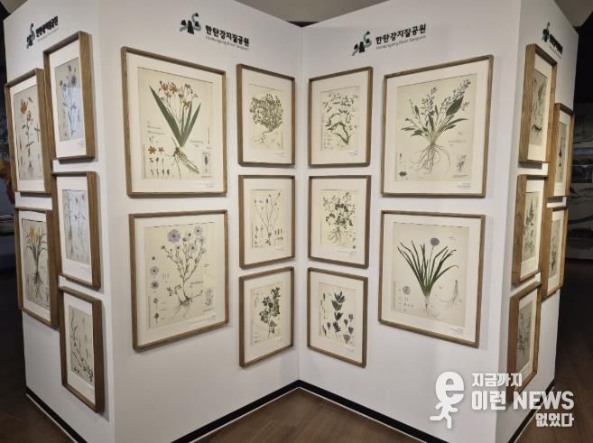 포천시, 한탄강의 아름다운 색채를 담은 압화 전시 개최