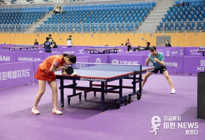 전문·생활체육 확대·체육 인프라 확충