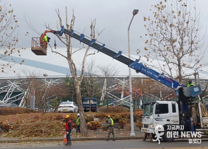 고양시 일산서구, 교통흐름 방해 가로수 전정 완료
