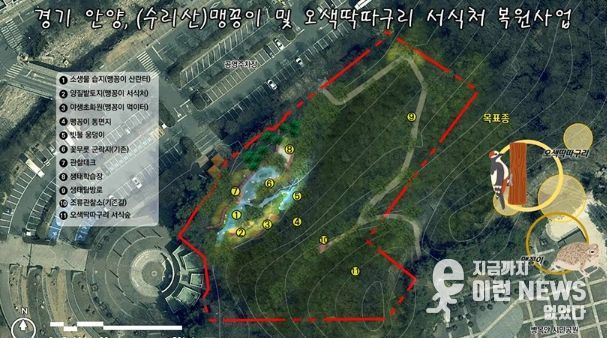 안양시, 병목안시민공원 맹꽁이・오색딱따구리 서식처 복원…국비 4.4억 확보