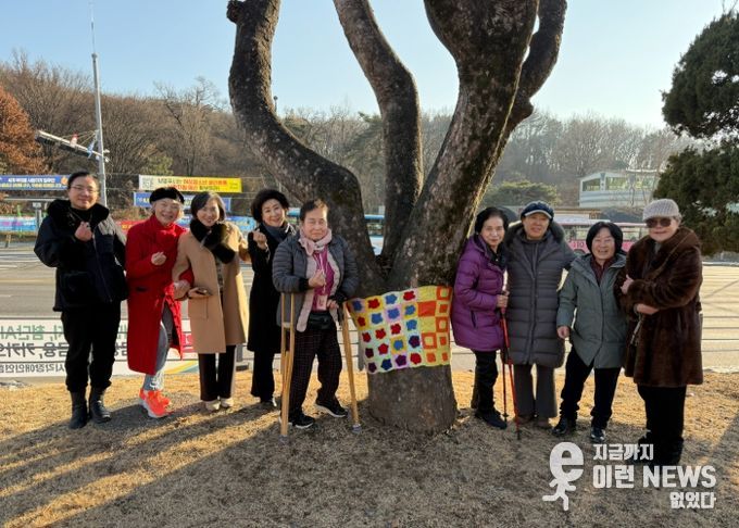 남양주시, 장애인 손뜨개 작품으로 청사에 겨울온기 더해