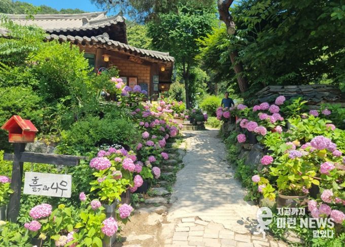 남양주시, 치유농업 경쟁력 확보…우수시설 인증 2곳 성과