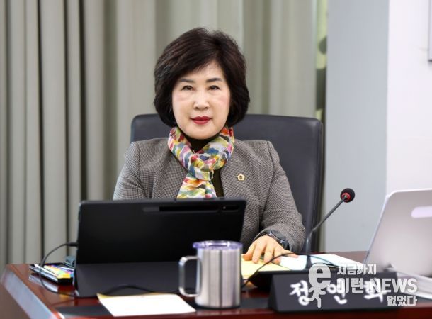 정연화 성남시의원