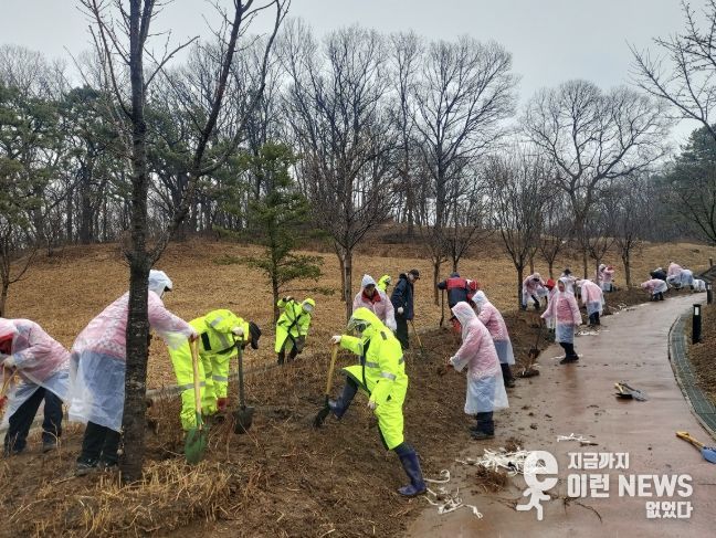 나무심기행사 사진
