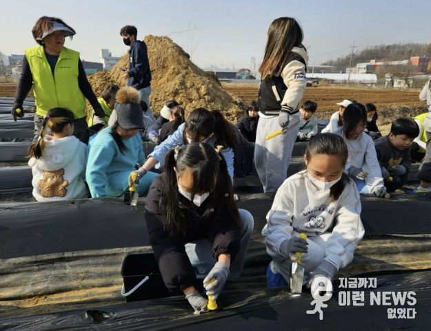 시흥시 신현동 주민자치회, 초등학생 대상 감자 심기 체험 운영