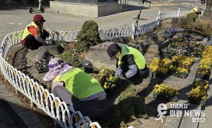 수원시 영통구, 봄꽃 식재로 도심 곳곳 '화사한 봄단장'