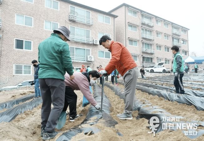 광주시 탄벌동 남녀새마을회, 사랑의 감자 심기 추진