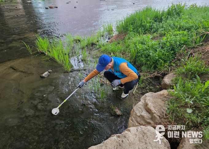 모기와 깔따구가 주로 서식하는 하천변을 중심으로 유충 밀도 조사를 하고 있다.