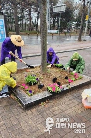 고양시 중산2동, 2026고양국제꽃박람회 대비 초화 식재