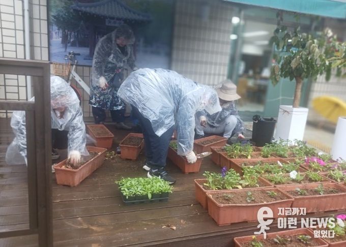 고양시 화정1동, 봄맞이 초화식재 실시